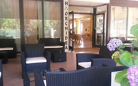 Orchidea Hotel Cesenatico